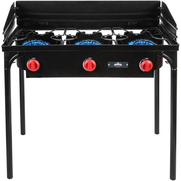 Barton 2Burner Propane Outdoor Stove & Reviews Wayfair